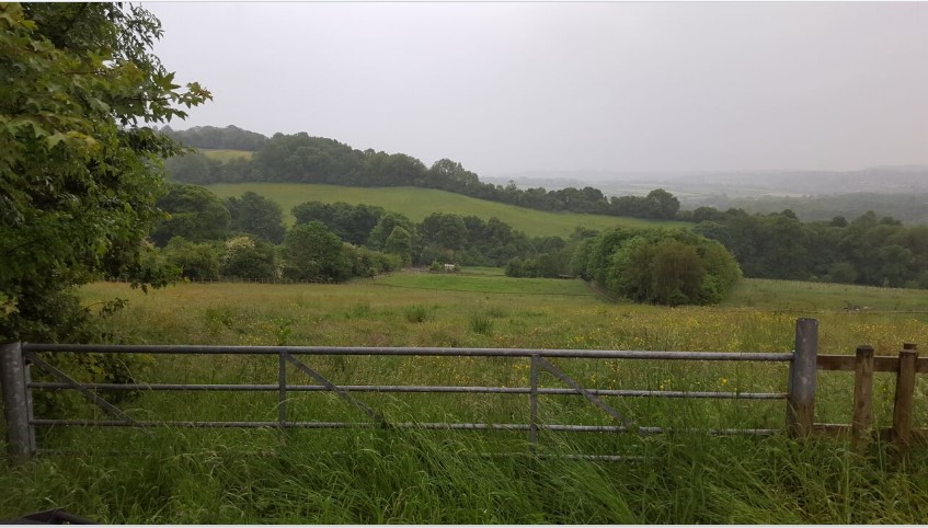 Pipley Bottom Farm View from within our entrance at Upton Cheyney